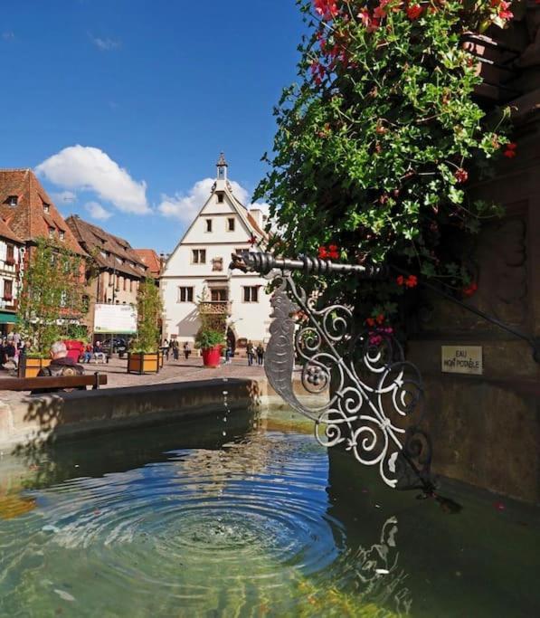 L'Appar'T - Centre Historique De Obernai Apartamento Exterior foto