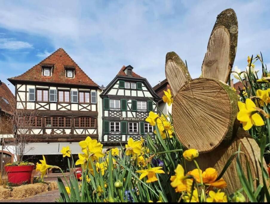 L'Appar'T - Centre Historique De Obernai Apartamento Exterior foto