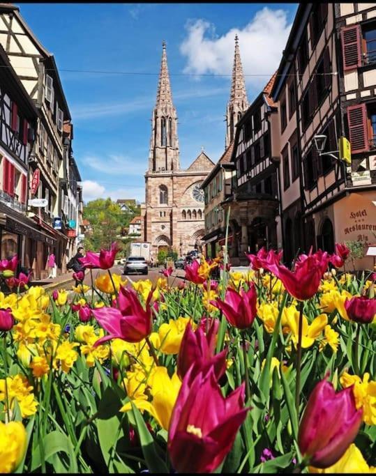 L'Appar'T - Centre Historique De Obernai Apartamento Exterior foto